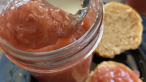 Easy Rhubarb Jam